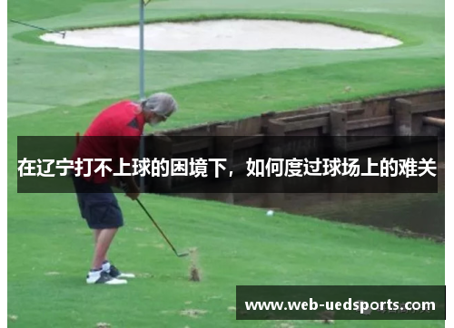 在辽宁打不上球的困境下，如何度过球场上的难关